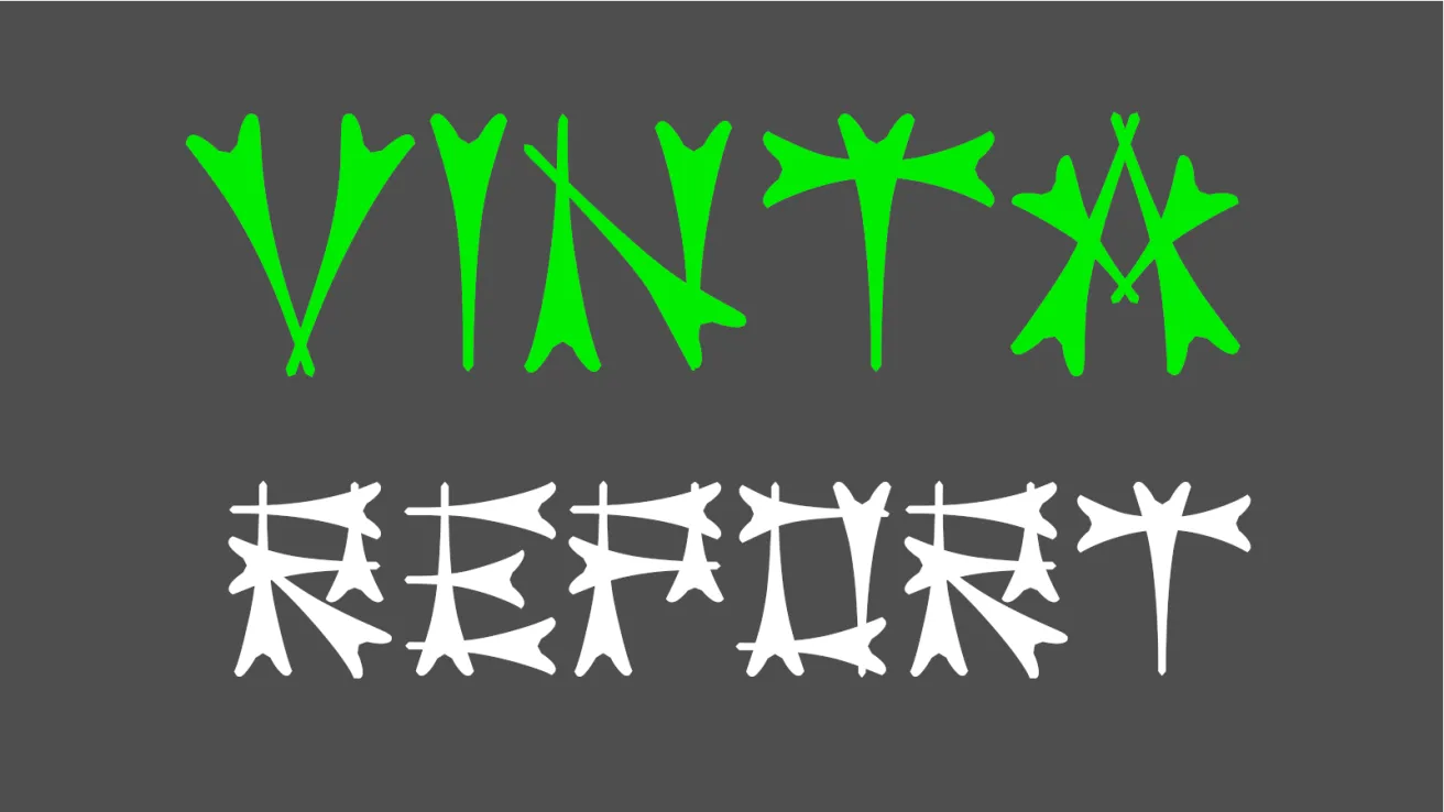 Vinta Intelligence report